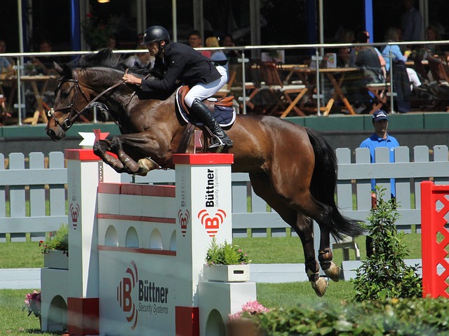 的精心策划 的精心策划