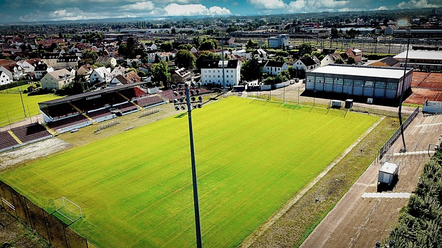 在这场西部 在这场西部