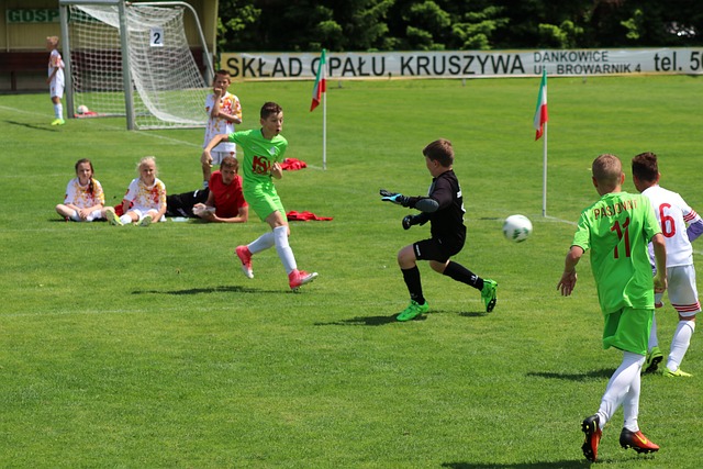 专业解析 专业解析