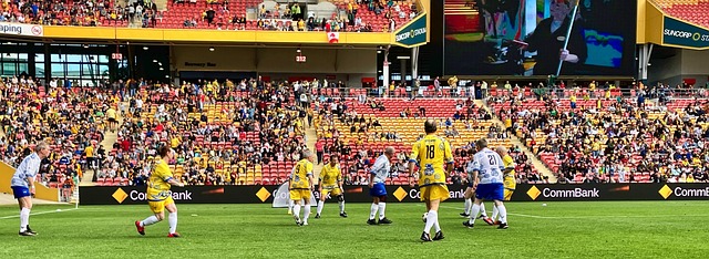 厦的比赛中 厦的比赛中