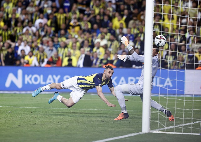 体和多元的 体和多元的