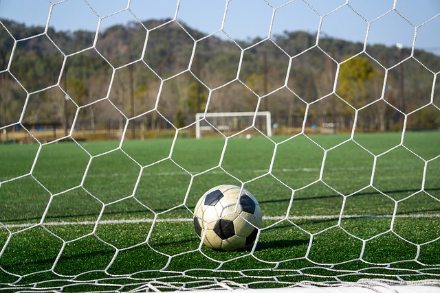 是独行侠在 是独行侠在